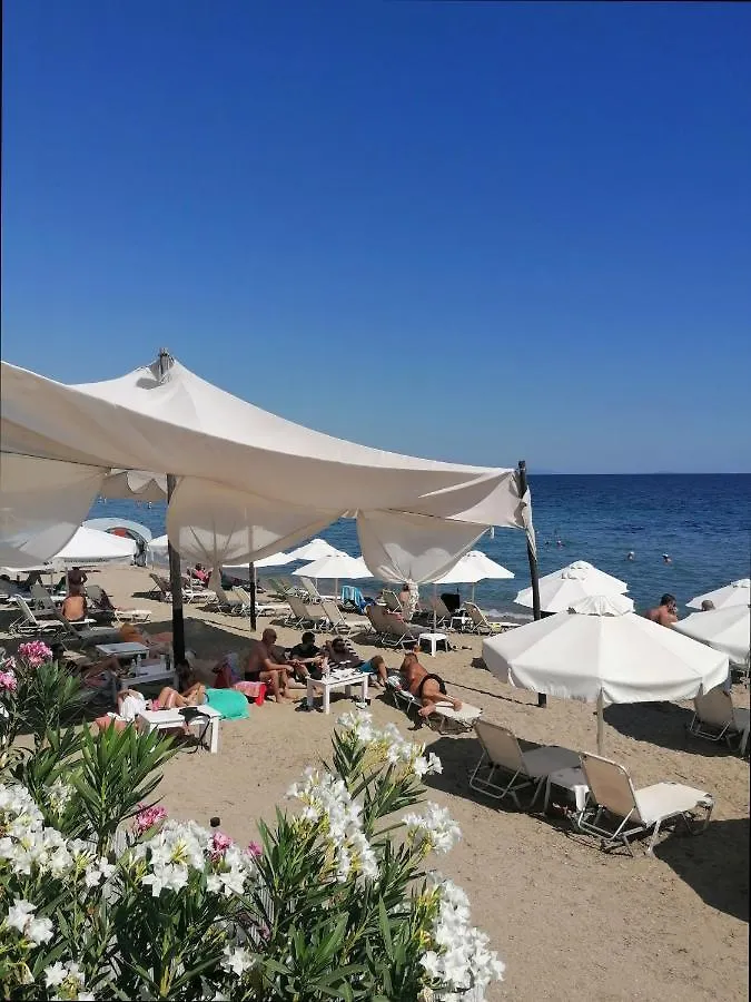 Greca Mare-Traditional Greek Boutique Apt. プサコウディア 別荘